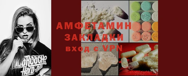 шишки Сковородино