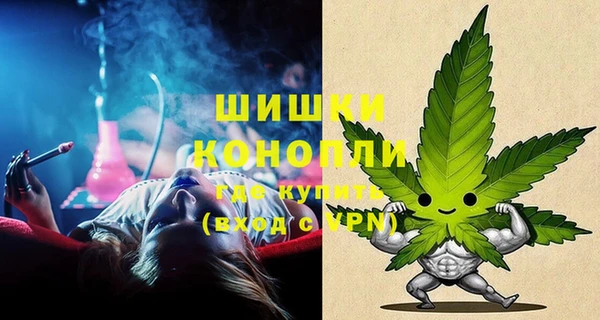 шишки Сковородино