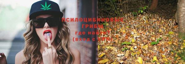 мдпв Нязепетровск