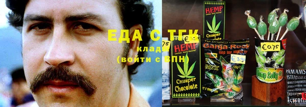 шишки Сковородино